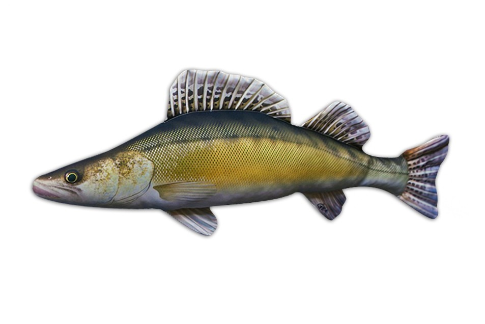 Gaby plyšová ryba candát 77 cm